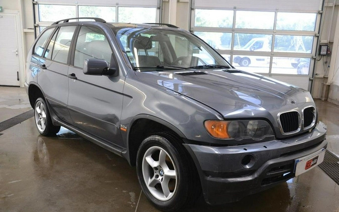 BMW X5 cena 10500 przebieg: 247012, rok produkcji 2003 z Jutrosin małe 352